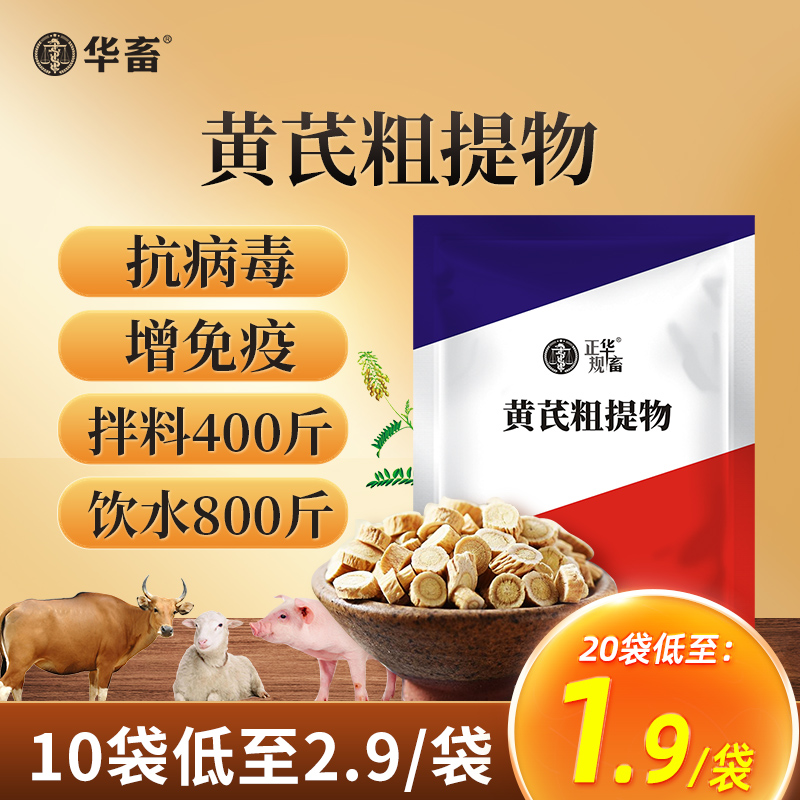 华畜兽用黄芪多糖粗提物饲料添加剂猪牛羊鸡鸭鹅抗应激维生素正品