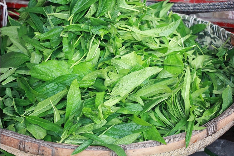 河南土特产农家自晒干芝麻叶手工自制纯天然干菜类干货野菜500g