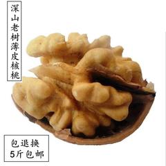 特级营养薄壳 老树核桃坚果无漂白腐蚀 有机新品零食 5斤包邮批发