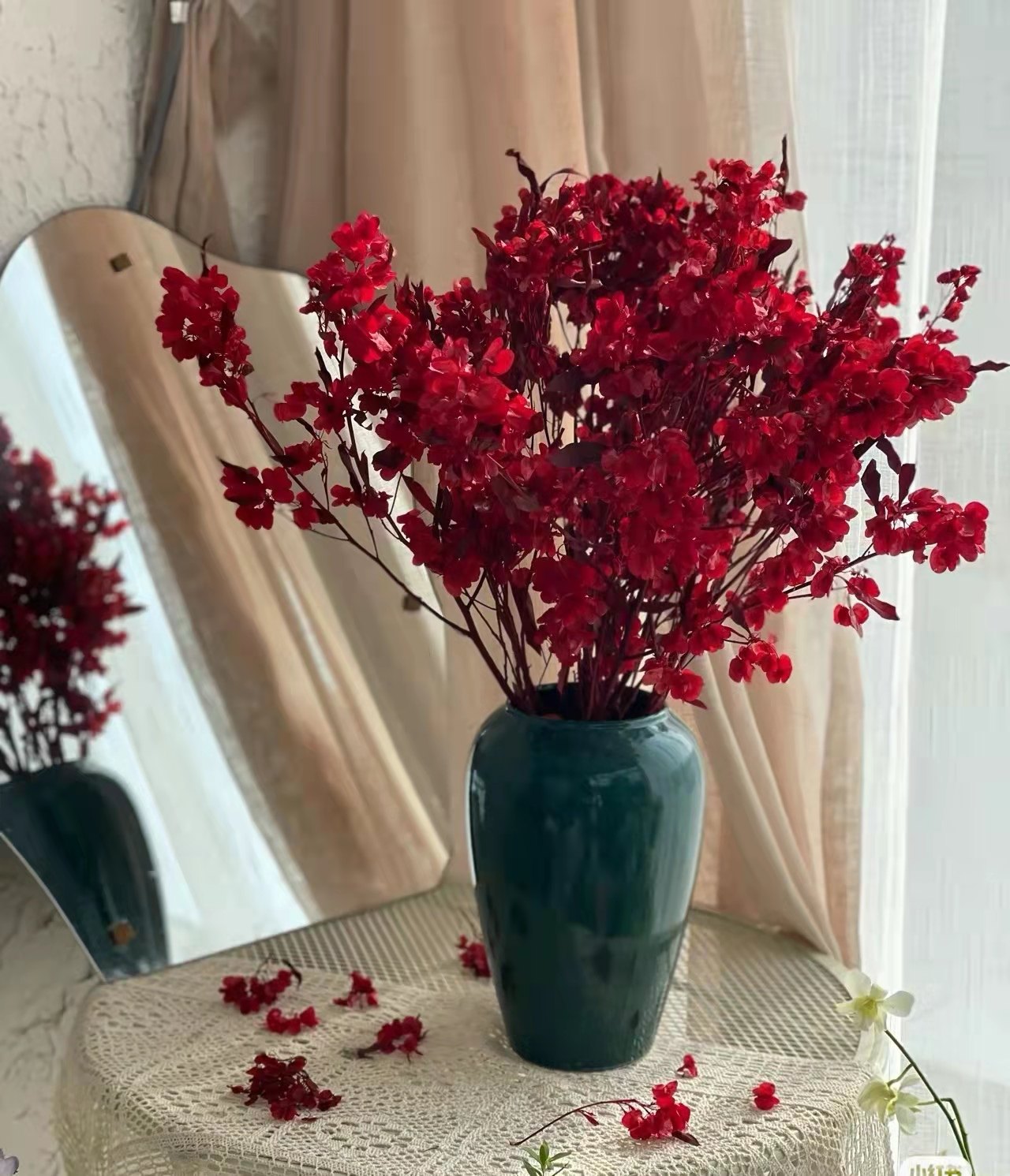 新品优惠券2元风干真花年宵花迎客豆蝴蝶花永生花中