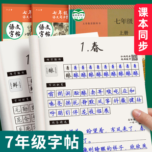 初中生七年级八九年级练字帖同步语文上册下册控笔训临摹字帖初一正楷钢笔中文中学生专用每日一练硬笔练字本