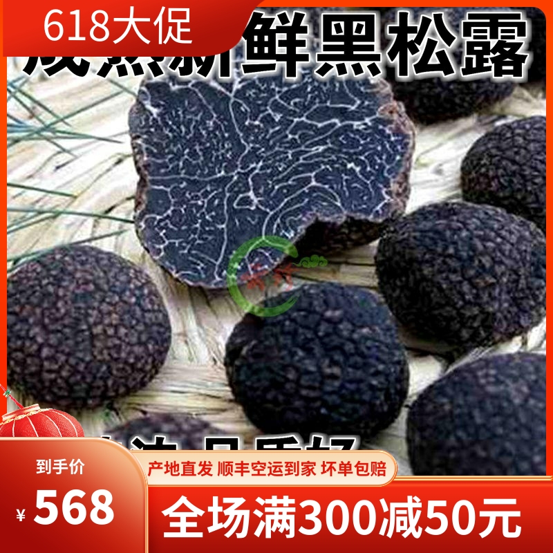 现货 成熟新鲜黑松露500g 35