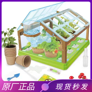 种植吧阳光房儿童植物小盆栽观察种子生长幼儿小学生迷你种菜玩具
