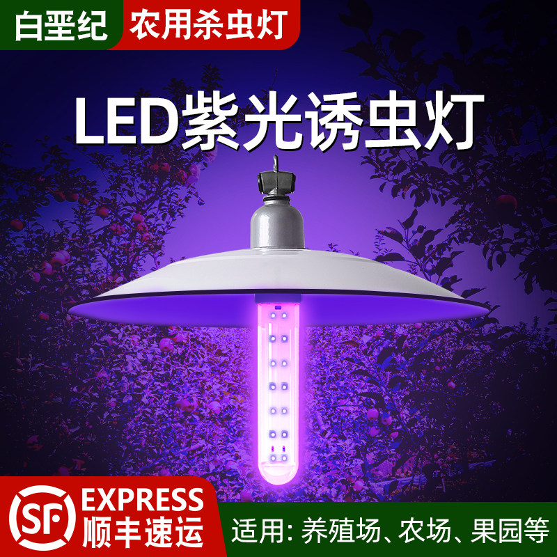 直流12v黑光诱虫灯户外养殖鱼塘水产养蛙诱虫灯捕蝉知了黑光灯