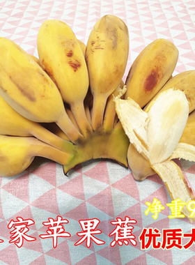正宗苹果粉蕉新鲜10斤蛋牛奶蕉焦蕉