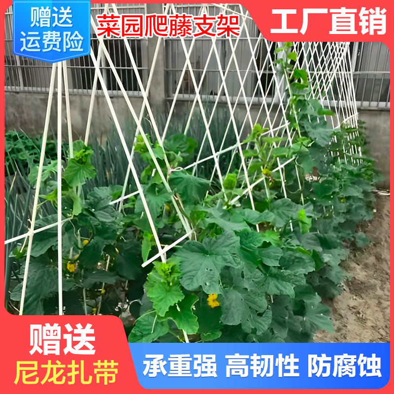 植物支撑杆支架拱门月季西瓜葡萄花柱