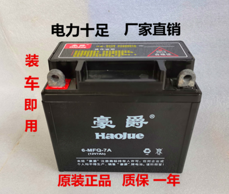 12V摩托车电瓶12v9a免维护干蓄电池125弯梁踏板车通用干电池7ah