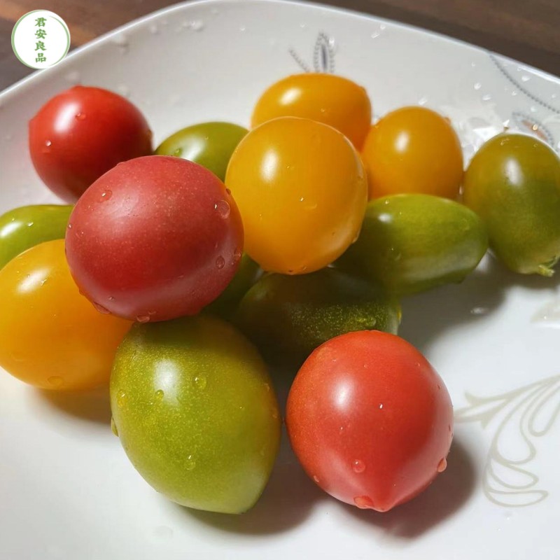 上海南汇新鲜水果 千禧小番茄黄色 青色 红色 盐碱地种植净重4斤