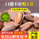 东北长白山野生松子500g 非油炸原味 特大粒开口2024新货