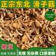 新货东北特产滑子菇滑子蘑菇干货滑菇小黄蘑小鸡炖蘑菇500g