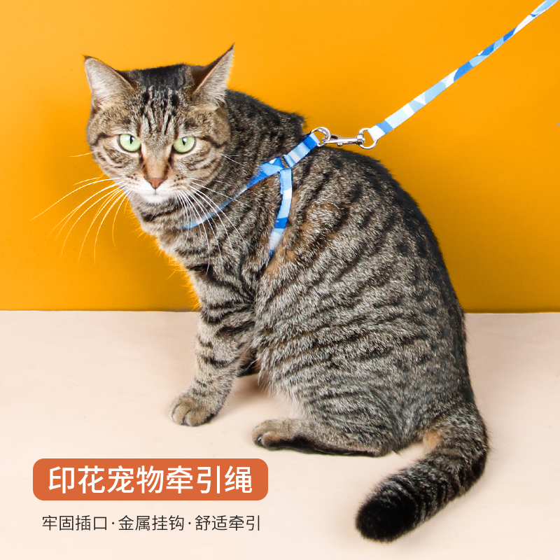 猫绳子牵引绳防挣脱小猫家用项圈遛狗