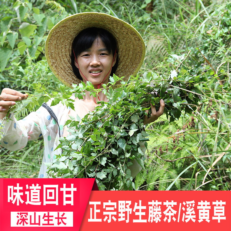 野生甘露茶