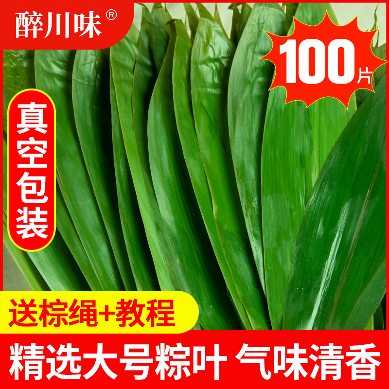 粽叶新鲜粽子叶100片包粽子专用大