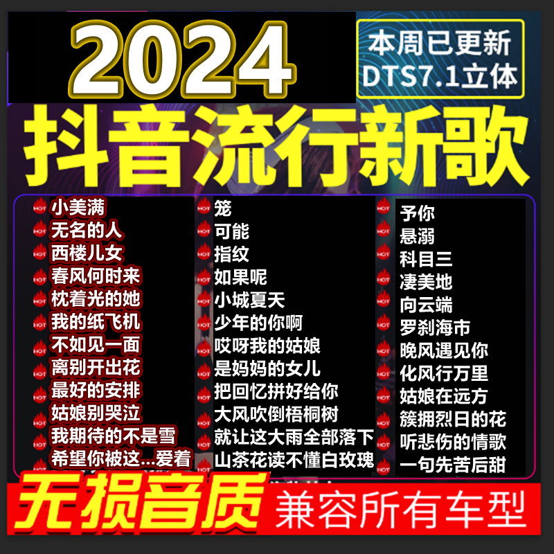 【2024款新升级】正版母带 无损音质 黑胶芯片 不挑车型 即插即用