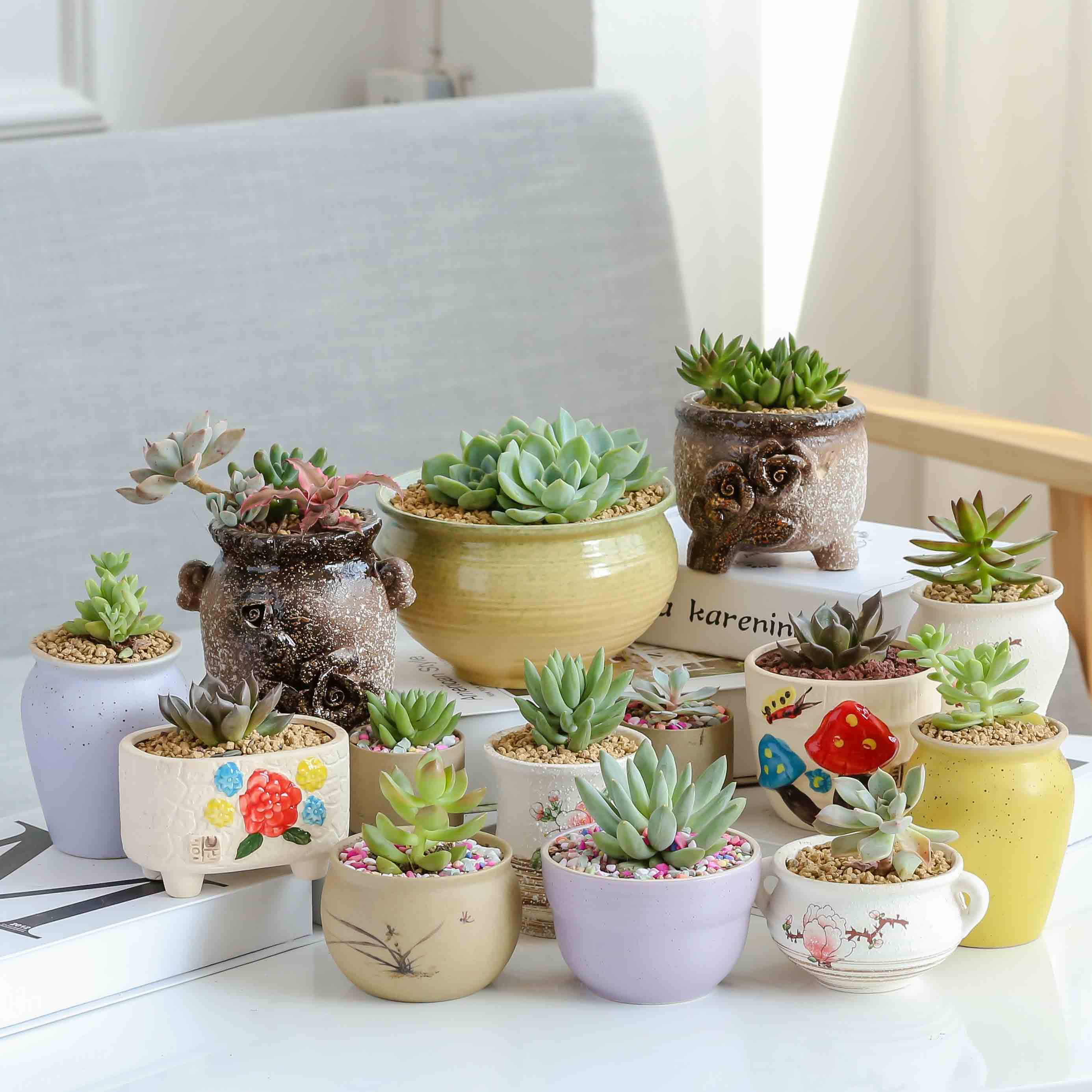 9元 多肉植物大小花盆粗陶绿植物陶瓷简约创意小花盆素烧