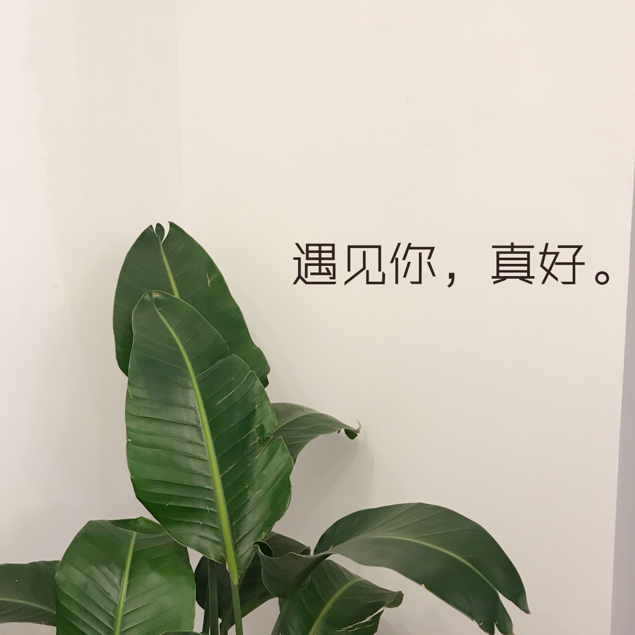 遇见你真好中文标语墙贴纸民宿服装店铺橱窗玻璃门创意装饰贴纸