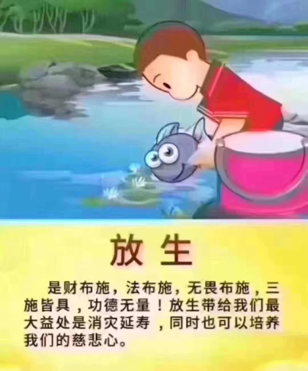 佛牌_泰国佛牌 湄南河佛日放生积功德添福报消业转运招财 功德回向