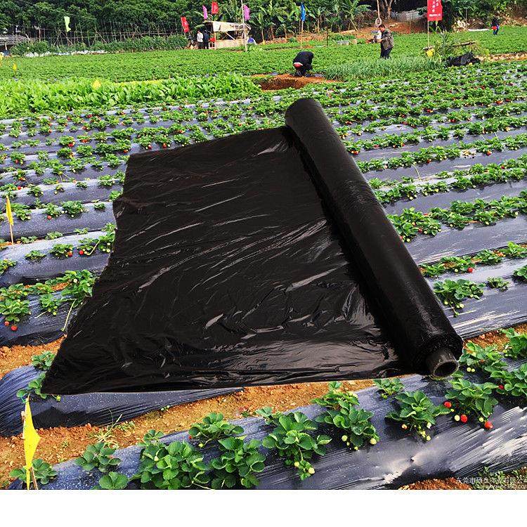 农用种植加厚抗老化黑地膜塑料薄膜除草保温保湿防草大棚果树苗木