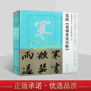 中小学生描红字帖我向经典学书法(全套5册)名家经典碑帖颜真卿多宝塔颜勤礼碑祭侄文稿褚遂良雁塔圣教序书法临摹米字格帖河南美术