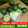 进口水果无籽柠檬小个青柠檬新鲜水果薄皮多汁江浙沪皖包邮3斤装 进口水果无籽柠檬小个青柠檬新鲜水果薄皮多汁江浙沪皖包邮3斤装