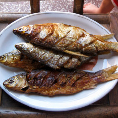 湘缘@湖南永州 祁阳淡水鱼干 农家熏制野生大选子鱼干河鱼干250G