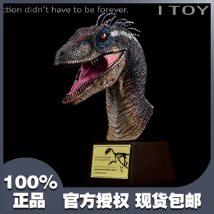 美国itoy 史前侏罗纪羽毛迅猛龙胸像 头像雕像恐龙模型树脂工艺品
