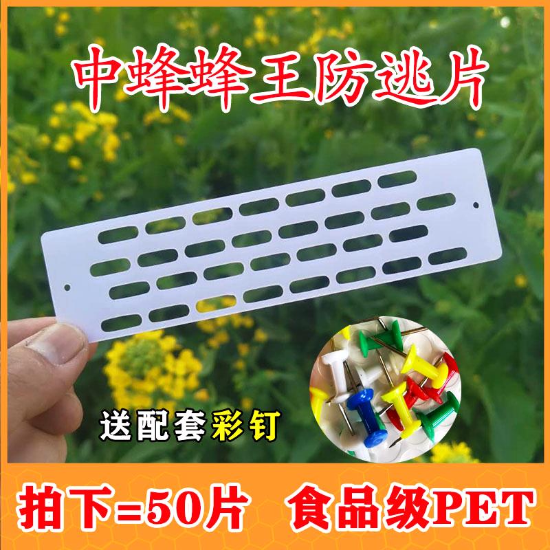 中蜂蜂王防逃片蜜蜂防逃框防逃网防逃片土蜂隔王门隔王器蜂箱巢门