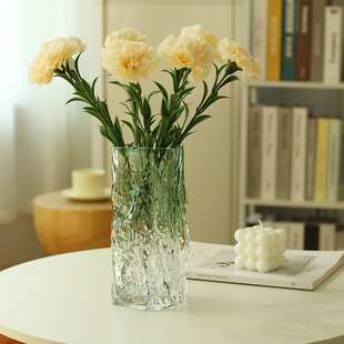 花瓶玻璃透明摆件创意客厅插花高级感餐桌家用百合鲜花玫瑰康乃馨