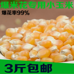 爆花小玉米营养小玉米粒爆米花专用原料 新货爆裂小玉米 半斤250g
