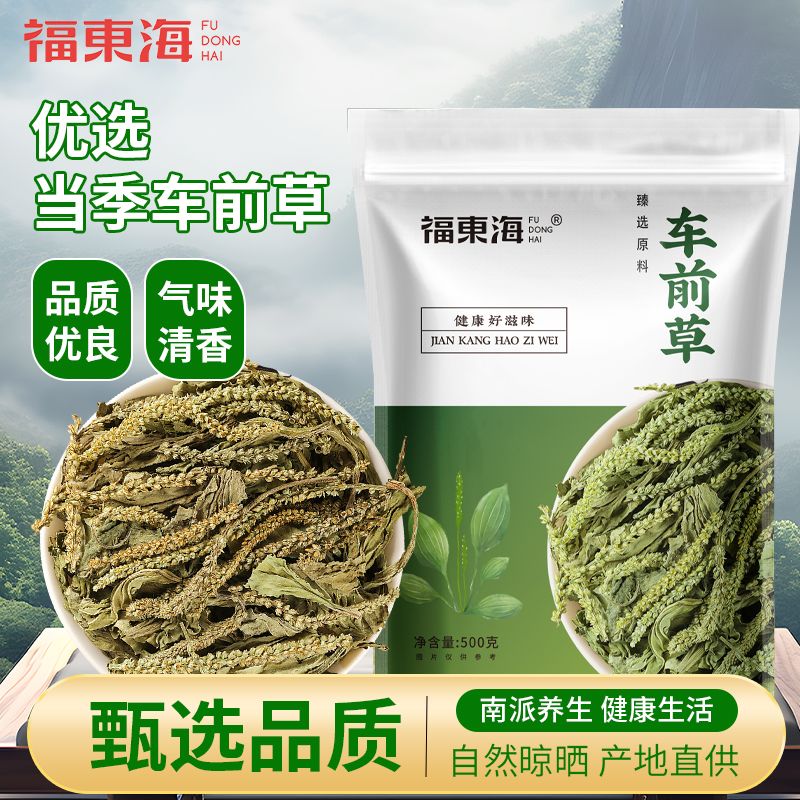 福东海车前草非野生中草药材车前草搭猫爪草泡茶新鲜干货整株泡水