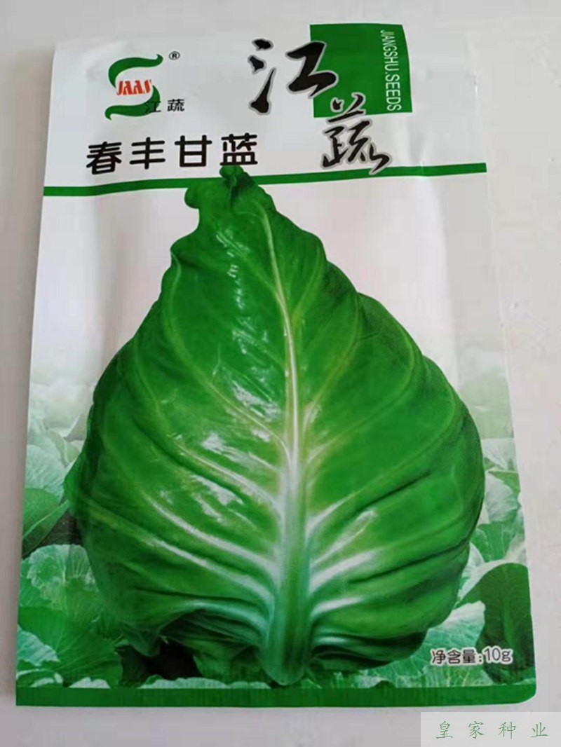 江蔬种业春丰甘蓝种子包菜种籽牛心甘兰春秋包菜绿蔬菜种孑包心菜