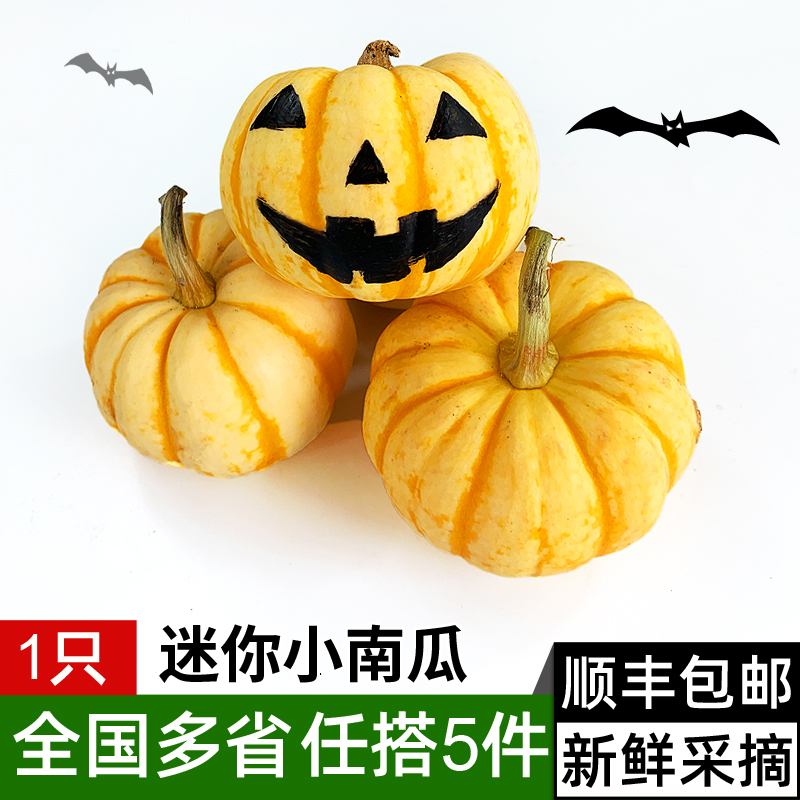 小金瓜約200g新鮮桔瓜太陽果萬聖節南瓜燈雕刻迷妳小南瓜寶寶輔食在類目 水產肉類/新鮮蔬果/熟食, 新鮮蔬菜/蔬菜製品, 新鮮蔬菜, 南瓜中 - 來自Buy2taobao.com提供專業的淘寶代購服務