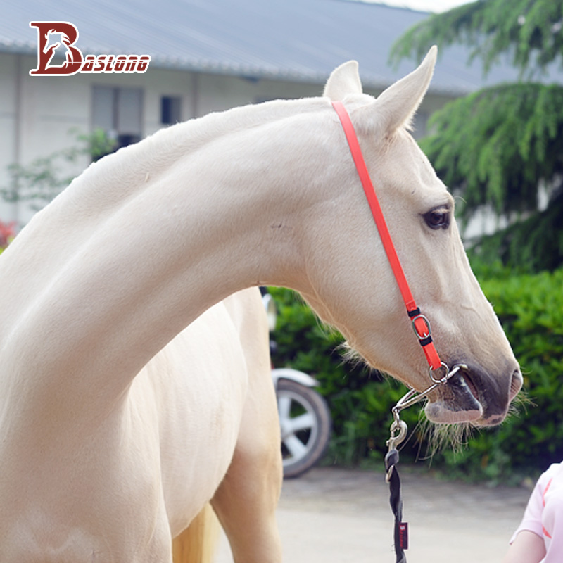 口衔铁 马衔口嚼子马嚼子拉马口衔铁口塞 八尺龙马具马匹马衔铁