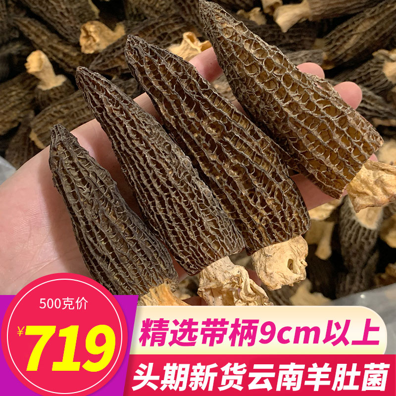 9cm以上带柄特级羊肚菌500g干