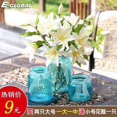 欧式现代简约创意透明蓝色玻璃小插花瓶水培绿萝干花客厅桌面摆件