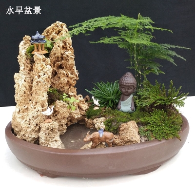 石吸水石植物山石盆景奇石假山石头水旱盆景创意礼.