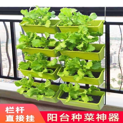 家庭菜园阳台种菜盆架子多层栏杆壁挂蔬菜草莓垂直立体种植盆挂架