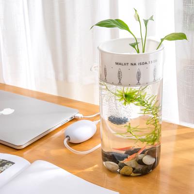 小型鱼缸迷你水族箱办公室图片