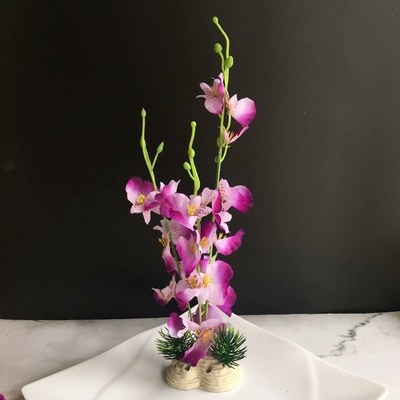 酒店厨房盘饰点缀拼盘寿司围边冷菜装饰花草创意小摆件跳舞兰摆盘