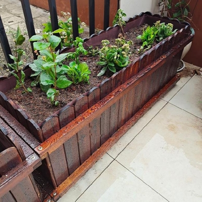 木质小花箱图片