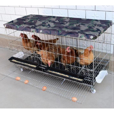 鸡笼子养殖笼