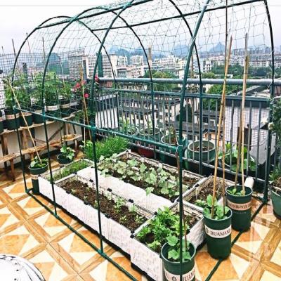 蔬菜25mm绿塑棚架钢管架子果包藤架月季花架露台种植屋顶花盆萝