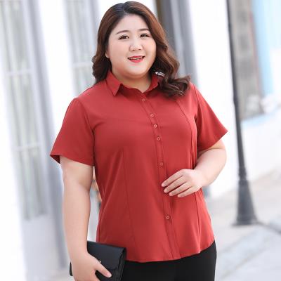 胖女士衬衫宽松图片