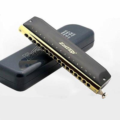 半音阶口琴16孔图片