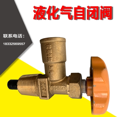 15公斤液化气钢瓶自闭角阀煤气罐角阀石油气罐开关纯铜加厚阀门