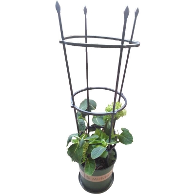 pe花架爬藤架子花支架植物盆栽花卉支撑杆月季铁线莲攀爬户外花架