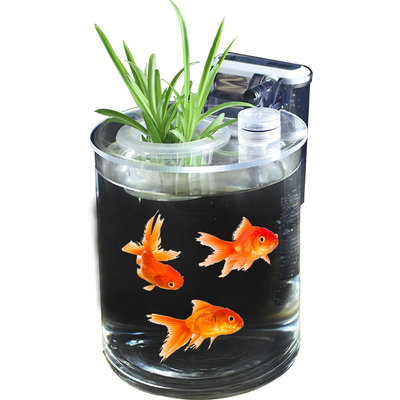 玻璃鱼缸圆柱形小型生态创意造景金鱼缸水培客厅迷你办公桌面