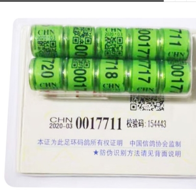 新款鸽子带证足环2020年赛鸽脚环定做特比环中鸽协脚