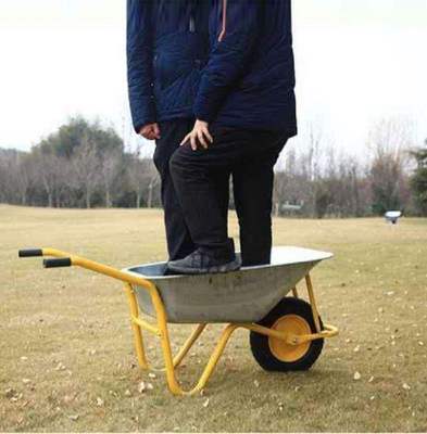 双轮手推车运输车车胎工地小推车拉货车小拉车翻斗车沙泥果