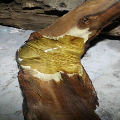 阴沉金丝木料乌木楠木摆件精品佛珠茶盘木雕